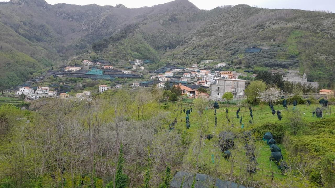 Hotel Affittacamere Novella Tramonti Buitenkant foto