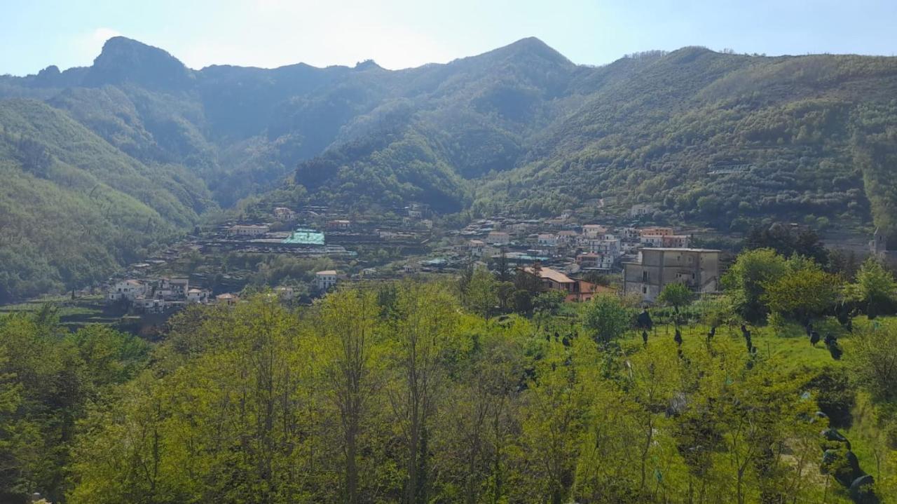 Hotel Affittacamere Novella Tramonti Buitenkant foto